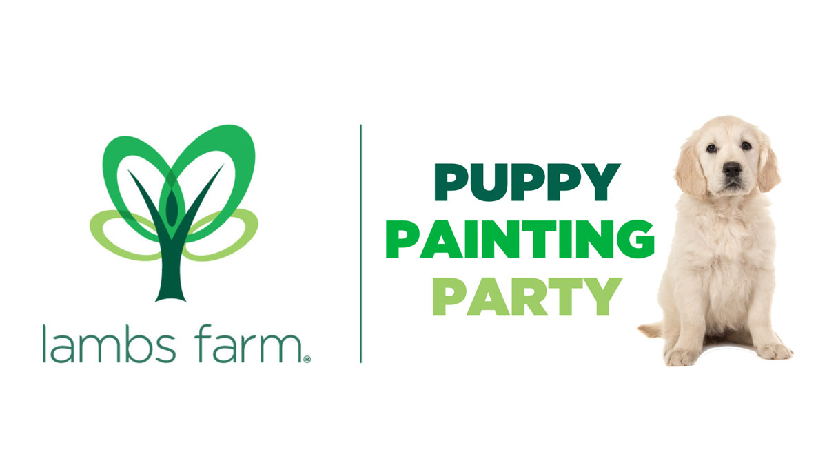Puppy Painting Party at Lambs Farm